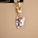Llavero Personalizado con Foto de Mascota de Hueso de Corazón de Pata con Inicial Encanto de Bolsa Cumpleaños Decoración Diaria Regalo para Dueños de Mascotas Amantes de los Animales