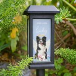 Forever in My Heart - Personalised Rainbow Bridge Pet Memorial Solar Light with Photo Name & Date Memorial Gift for Beloved Pet