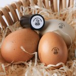 Pollo personalizzato Design Nome Timbro sicuro per uova con inchiostro alimentare e scatola Regalo di compleanno per famiglia allevatore agricoltore