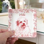 Personalised Toile De Jouy Style Pet Portrait Ceramic Trinket Jewellery Dish with Name Birthday Gift for Pet Owner