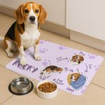 Personalized A Day in the Life of a Pet PU Leather Pet Feeding Mat with Name Pet Supplies Birthday Gift for Dog Owners