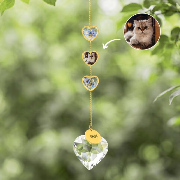 Personalized Forget-Me-Not Photo Heart Crystal Pet Memorial Wind Chimes with Name Memorial Ornament Sympathy Anniversary Gift for Loss of Pet