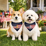 Personalized 250th Anniversary Cartoon Dog Soft Pet Bandana with Name and Adjustable Buckle Pet Party Independence Day Gift for Pet Owners Lovers
