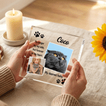 Placa acrílica cuadrada personalizada con 2 fotos en collage y nombre Decoración para el hogar Regalo conmemorativo para la madre del dueño de la mascota