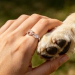 Personalised Infinity Symbol Paw Print Sterling Silver Ring with Text and Heart Birthstone Pet Loss Sympathy Memorial Gift for Pet Owner Lover