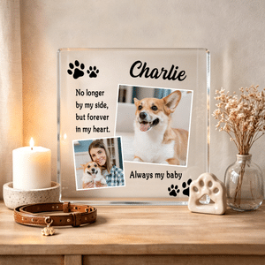 Personalised 2 Photos Collage Paw Print Square Acrylic Plaque with Name Home Decor Pet Memorial Gift for Pet Owner Mom