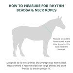 Personalized Multicolour Text PU Leather Horse Neck Strap Horseback Riding Use Training Birthday Gift for Equestrian Horse Owner Horse Rider