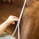 Personalized Multicolour Text PU Leather Horse Neck Strap Horseback Riding Use Training Birthday Gift for Equestrian Horse Owner Horse Rider