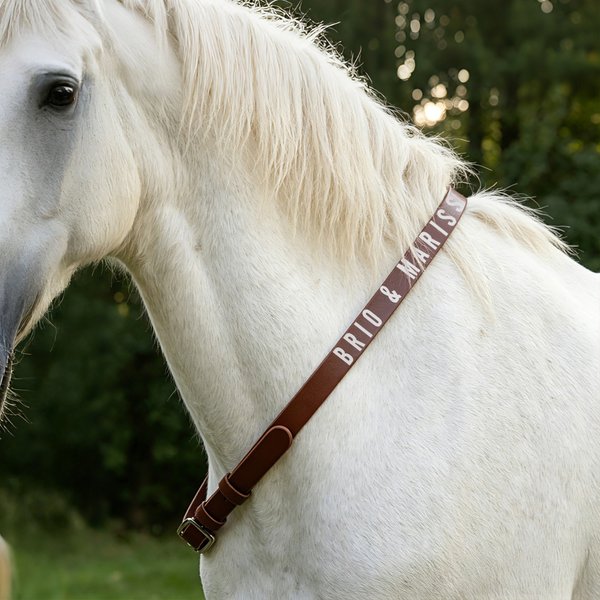 Personalised Multicolor Text PU Leather Horse Neck Strap Horseback Riding Use Training Birthday Gift for Equestrian Horse Owner Horse Rider