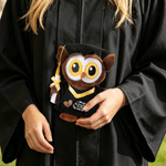 Personalised I'm Always With You Cute Graduation Owl Doll with Text and Photo Graduation Ceremony Gift for Kids Graduates