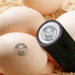 Gepersonaliseerde Eierstempel met Kippensilhouet en Naam met Voedselveilige Inkt en Doos Verjaardagscadeau voor Familie Boeren en Fokkers