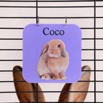 Personalised Cute Pet Photo Guinea Pig Cage Tag with Pet Name Daily Use Birthday Gift for Pet Lovers
