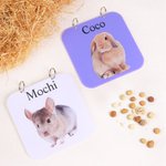 Personalised Cute Pet Photo Guinea Pig Cage Tag with Pet Name Daily Use Birthday Gift for Pet Lovers