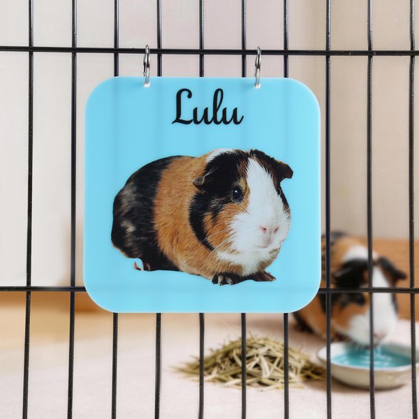 Personalized Cute Pet Photo Guinea Pig Cage Tag with Pet Name Daily Use Birthday Gift for Pet Lovers