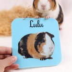 Personalised Cute Pet Photo Guinea Pig Cage Tag with Pet Name Daily Use Birthday Gift for Pet Lovers