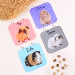 Personalised Cute Pet Photo Guinea Pig Cage Tag with Pet Name Daily Use Birthday Gift for Pet Lovers