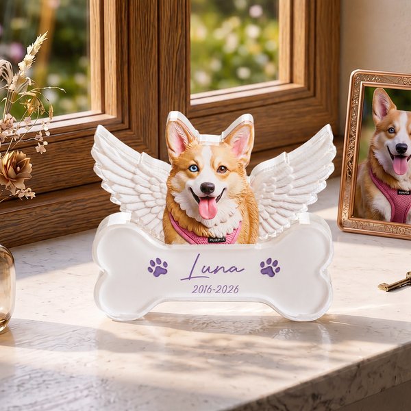 Plaque en acrylique transparent avec nom et année Cadeau commémoratif pour les propriétaires d'animaux de compagnie.