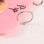 Personalised Cute Pet Photo Guinea Pig Cage Tag with Pet Name Daily Use Birthday Gift for Pet Lovers