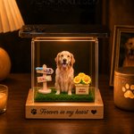 Personalised 3D Holographic Digital Pet House with Text Interactive Tech Memorial Anniversary Gift for Cat Dog Lover