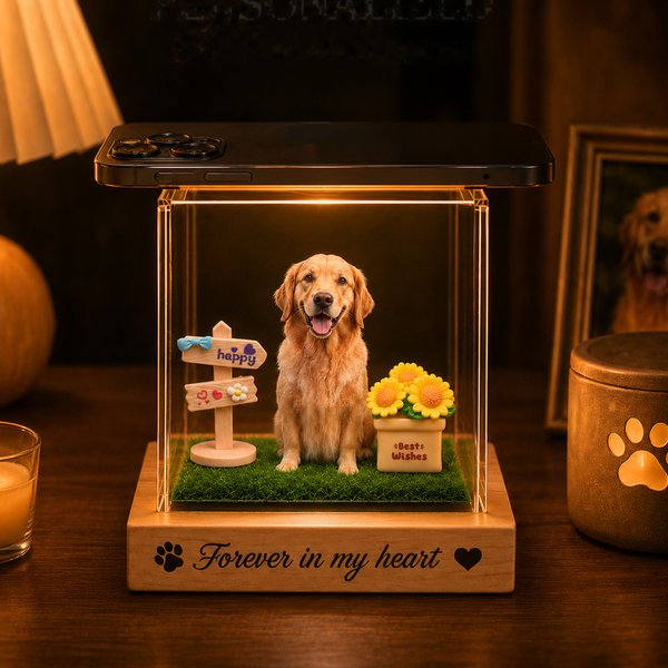 Personalised 3D Holographic Digital Pet House with Text Interactive Tech Memorial Anniversary Gift for Cat Dog Lover