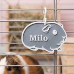 Personalisierte Meerschweinchen Design Pet Name Tag täglichen Gebrauch Käfig Dekor Geburtstagsgeschenk für Tierbesitzer