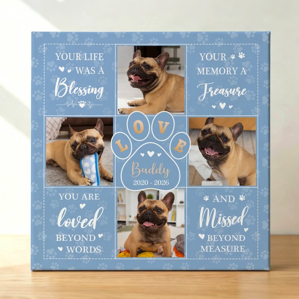 Personalised Dog Cat Paw Multicolour Photo Giclee Canvas Prints Home Decor Memorial Gift for Pet Lover Family