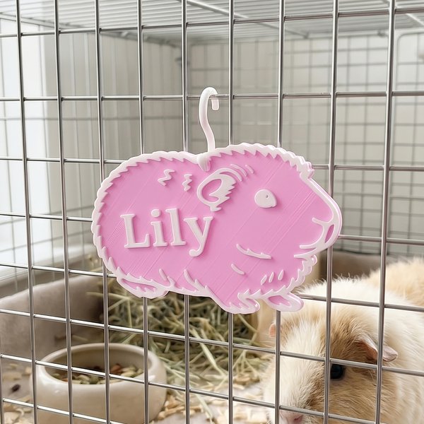 Personalised Guinea Pig Design Pet Name Tag Daily Use Cage Decor Birthday Gift for Pet Owners
