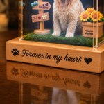 Personalised 3D Holographic Digital Pet House with Text Interactive Tech Memorial Anniversary Gift for Cat Dog Lover