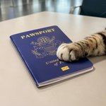 Personalized US Passport Inspired Pawsport Pet Passport Photo Album with Photo and Name Travel Keepsake Birthday Adoption Gift for Pet Owners Lovers
