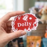 Personalisierte Meerschweinchen Design Pet Name Tag täglichen Gebrauch Käfig Dekor Geburtstagsgeschenk für Tierbesitzer