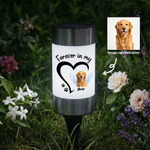 Henkilökohtainen Koira Kissa Tassu Solar Garden Light nimi ja valokuva Garden Decoration Memorial Sympathy lahja menetys lemmikkieläinten kanssa