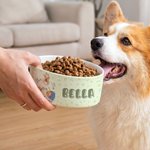 Spersonalizowana wielokolorowa ceramiczna miska dla zwierząt z imieniem i nazwiskiem Codzienny prezent urodzinowy dla miłośników zwierząt Przyjaciele