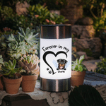 Henkilökohtainen Koira Kissa Tassu Solar Garden Light nimi ja valokuva Garden Decoration Memorial Sympathy lahja menetys lemmikkieläinten kanssa
