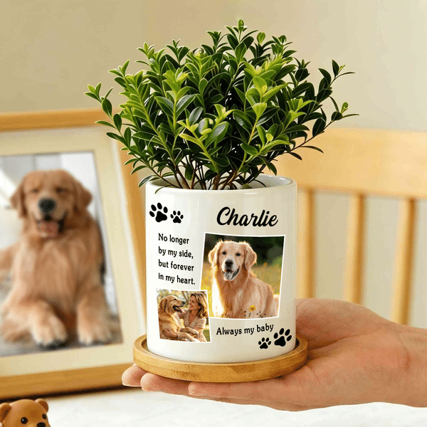 Maceta de cerámica personalizada con foto de mascota 