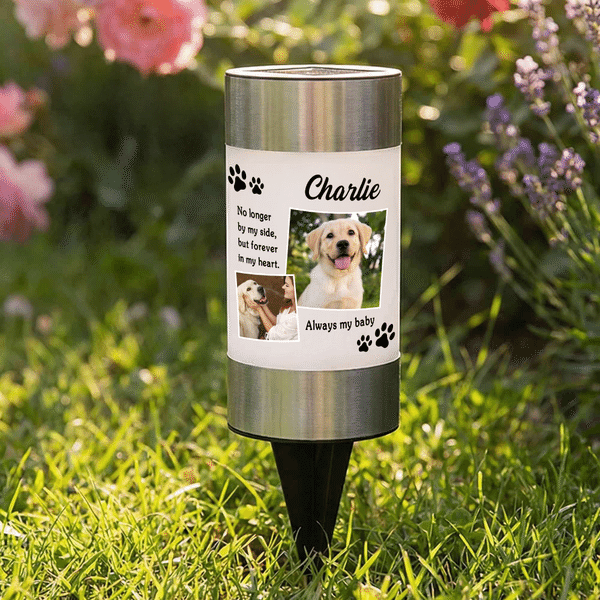 Personalized Pet Photo Solar Garden Light with Name and Text Garden Decoration Memorial Sympathy Gift for Loss of Pet