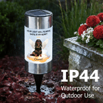Personalized Your Light Will Always Shine Pet Photo Solar Garden Light with Name Garden Decor Memorial Sympathy Gift for Pet Owners