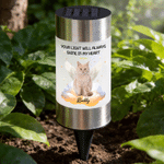 Personalized Your Light Will Always Shine Pet Photo Solar Garden Light with Name Garden Decor Memorial Sympathy Gift for Pet Owners