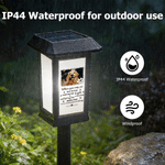 Personalized Photo Pet Paw Print Solar Garden Light with Name and Text Garden Decor Memorial Sympathy Gift for Family Pet Owners