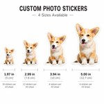 Etiquettes photo autocollantes imperméables personnalisées Décoration cadeau Fête d'anniversaire Favors pour la famille Amis