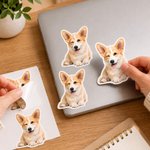 Etiquettes photo autocollantes imperméables personnalisées Décoration cadeau Fête d'anniversaire Favors pour la famille Amis