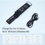 Personalized Classic Winnie the Pooh LED Rechargeable Light Clip with Name Reading Accessories Birthday Gift for Book Lovers Students
