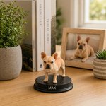 Gepersonaliseerd 3D fotobeeldje met voet en naam woondecoratie en herinnering condoleance cadeau voor familie vrienden en huisdierenliefhebbers