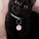 Personalizado Fantasía Mushroom Moon Multicolor Pet ID Tag con Texto y Nombre Dog Cat Special Needs Birthday Gift for Pet Lovers