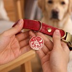 Personalizado Fantasía Mushroom Moon Multicolor Pet ID Tag con Texto y Nombre Dog Cat Special Needs Birthday Gift for Pet Lovers