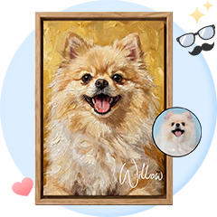 For Pet Lovers