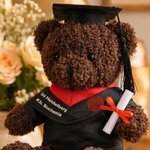 Personalisierter Niedlicher Absolventenhut Plüsch Teddybär mit Namen und Uni-Wappen Schule Abschluss Geschenk für Kinder Absolventen der Klasse 2026