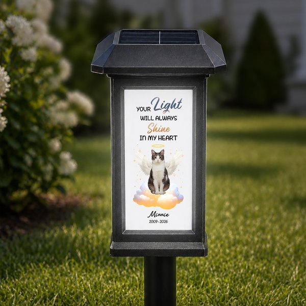 Personalised Your Light Will Always Shine Pet Photo Solar Garden Light with Name and Date Garden Decor Memorial Sympathy Gift for Pet Owners