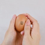 Gepersonaliseerde Eierstempel met Kippensilhouet en Naam met Voedselveilige Inkt en Doos Verjaardagscadeau voor Familie Boeren en Fokkers
