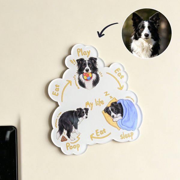 Personalised Play Eat Sleep Poop Pet's One Day Glossy Acrylic Fridge Magnet with Pet Portrait Home Decor Pet Birthday Party Gift for Pet Owner