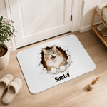 Personalised Pet Photo Bursting through the Wall Non-Slip Door Mat with Name Daily Use Housewarming Birthday Gift for Pet Lover